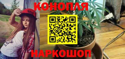 spice Новодвинск
