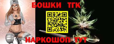 spice Новодвинск