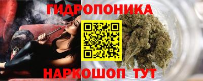 spice Новодвинск