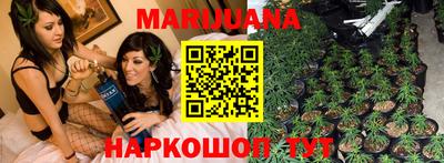 spice Новодвинск