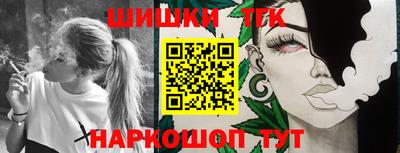 a pvp Новозыбков