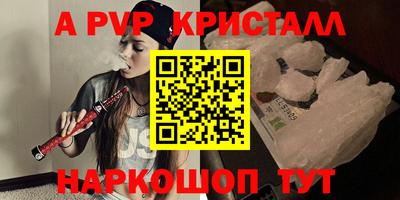 a pvp Новозыбков