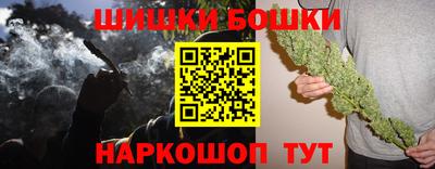 a pvp Новозыбков