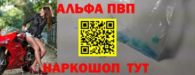 a pvp Новозыбков