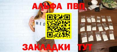 a pvp Новозыбков