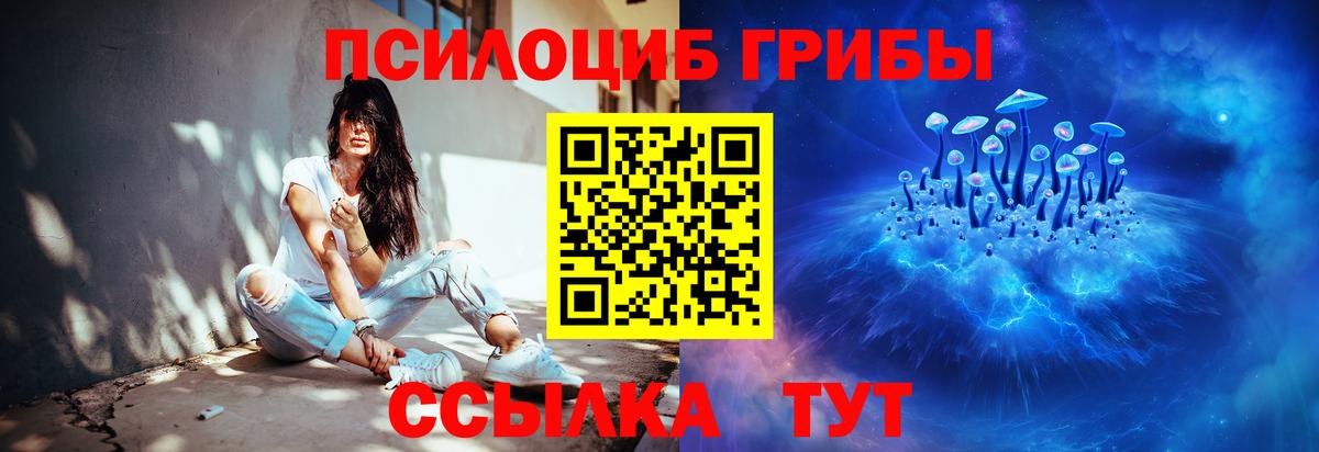 Псилоцибиновые грибы Psilocybine cubensis  Псилоцибиновые грибы GOLDEN TEACHER  купить   Славгород  Вход с VPN 